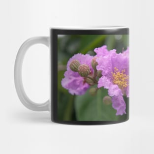 Flowers in Vientiane - Laos Mug